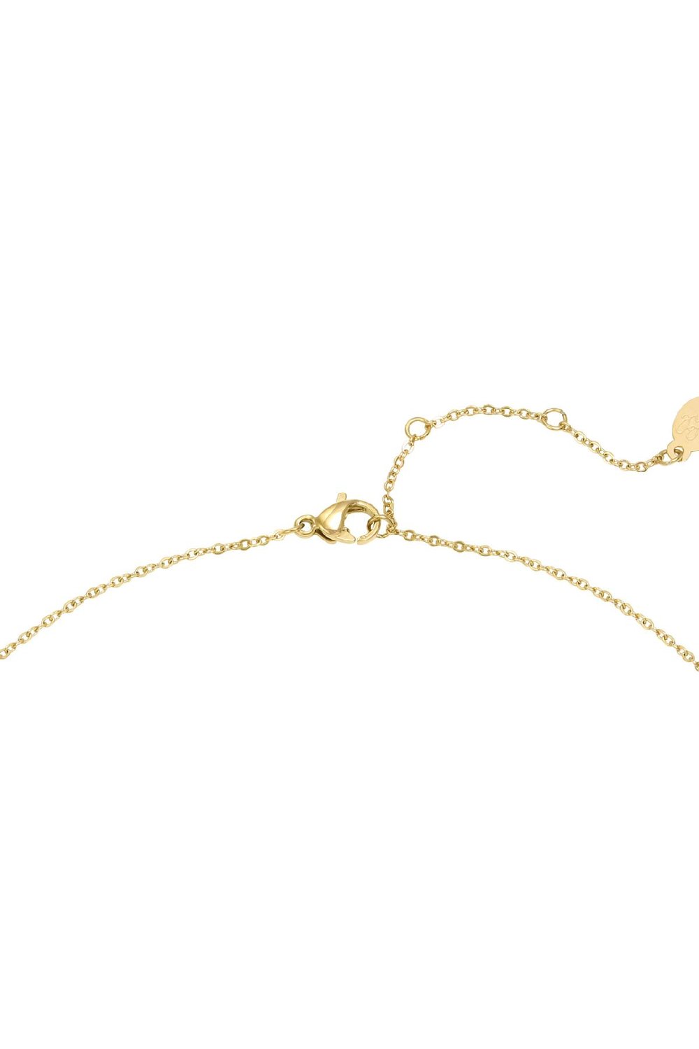 Collier Horn Blanc Acier inoxydable h5Image3